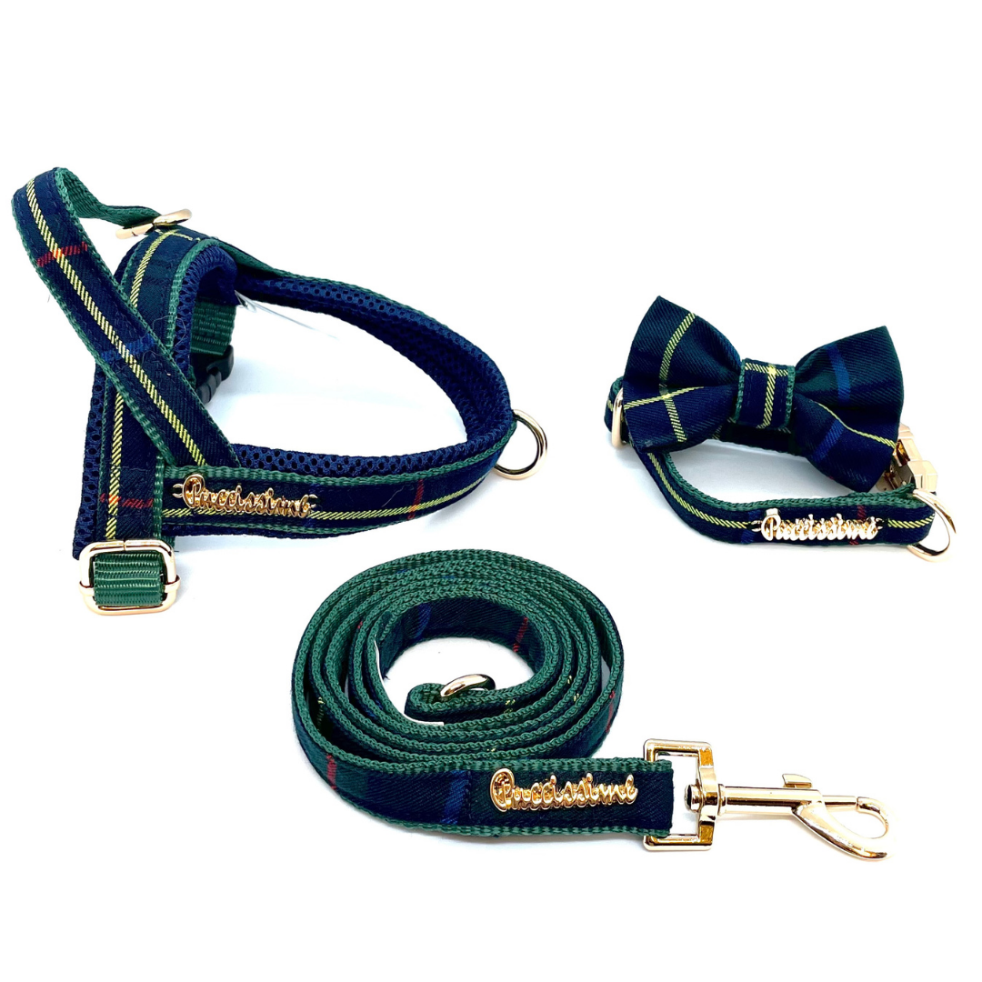 Nœud papillon Barclay pour chien