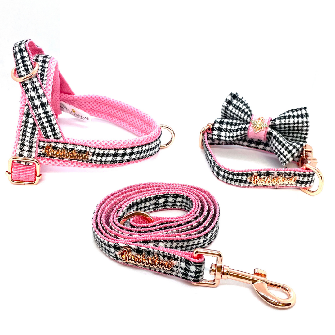 Laisse Princesse avec extension mains libres