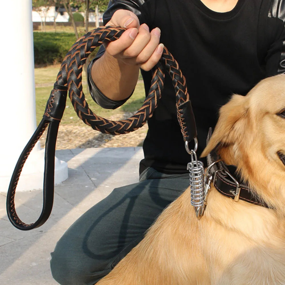 Durable Pet Walking Leash