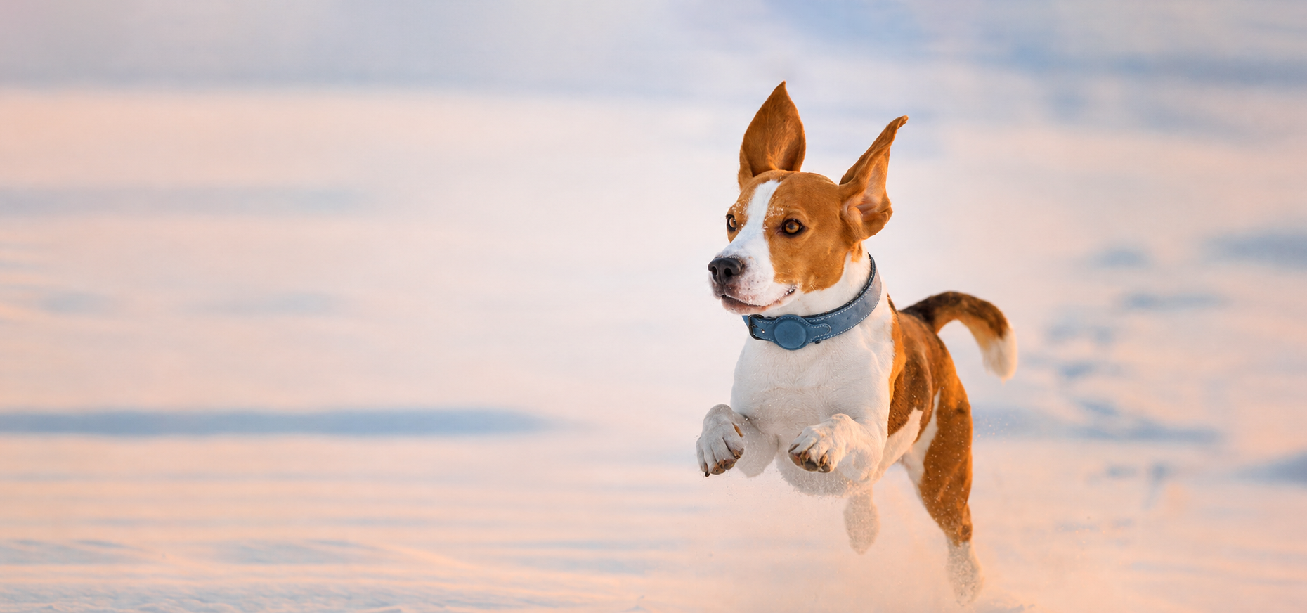 slider image 1621243260e1af0c20-0